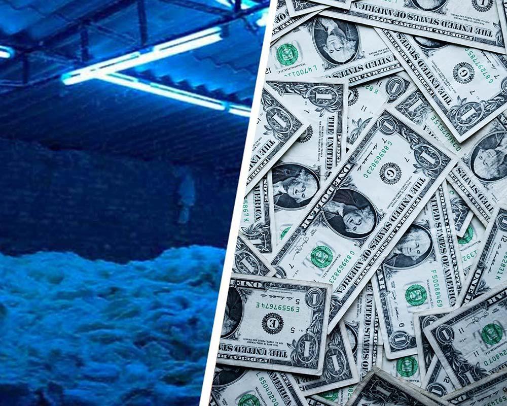 Cotton Comber for Currency